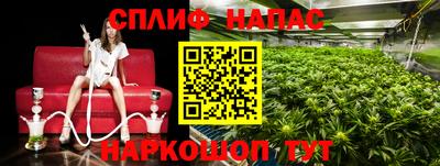 СК Шахты