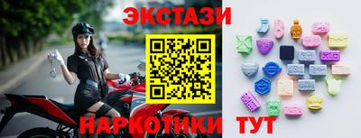СК Шахты