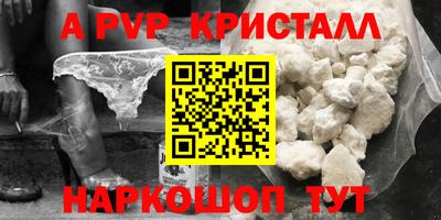 СК Шахты